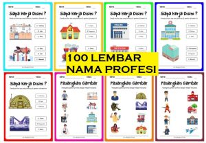 Seri Profesi