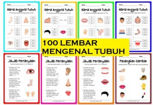 Seri Mengenal Tubuh
